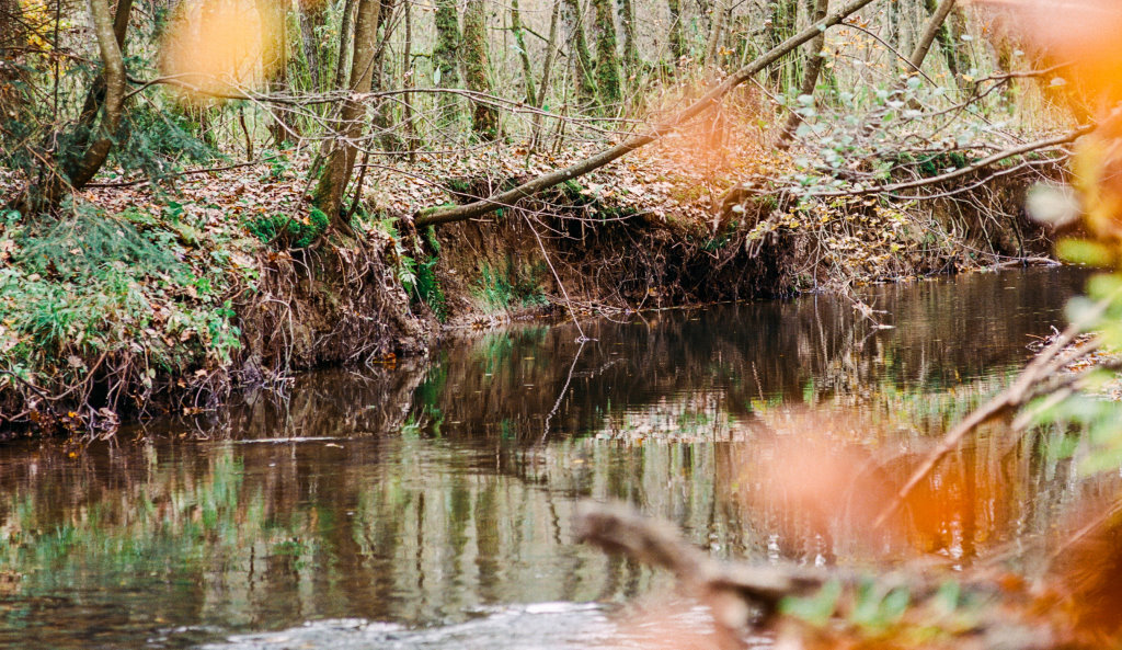 Kleine Bleibe - Nachhaltigkeit Wald